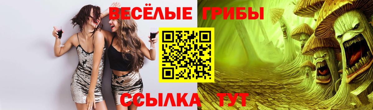 Советская Гавань  Галлюциногенные грибы GOLDEN TEACHER  купить закладку  Вход с VPN 